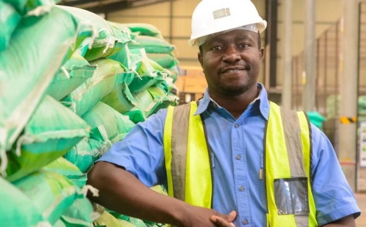 African Development Bank launches $5.1 billion plan to tackle energy and fertiliser crisis in Africa