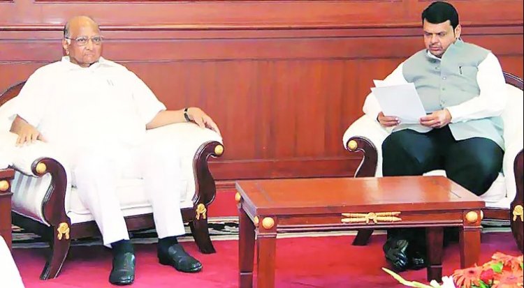 Maharashtra Farmers Need Immediate Drought Declaration, Rs 50,000/ha Aid: Sharad Pawar