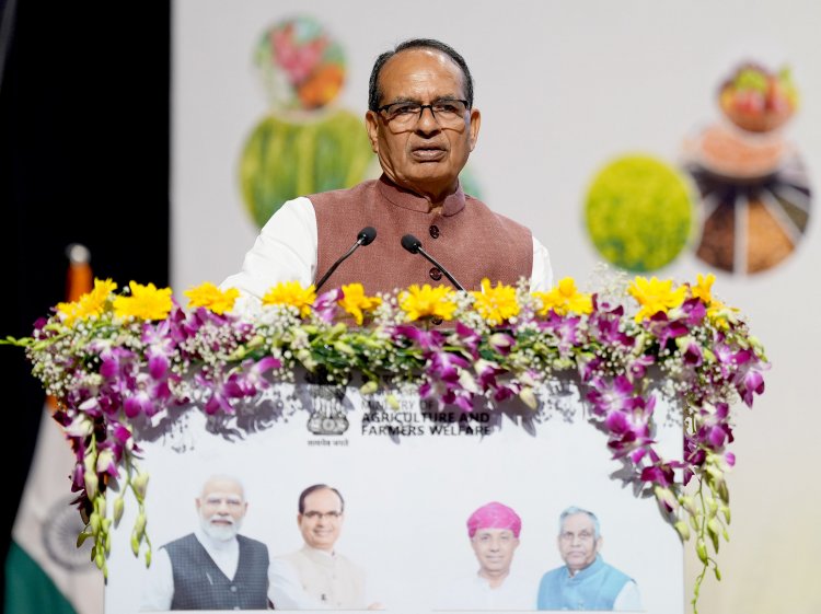 Rabi 2026 Planning Must Be Based on Water Availability, Climate Risks: Shivraj Chouhan