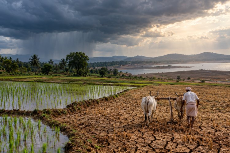 India’s 2026 Monsoon Ends With 13% Rainfall Deficit, Weakest in Over a Decade