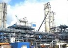 Three New Urea Plants to Come Up in Uttar Pradesh with Rs 30,000 Crore Investment
