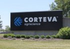 Corteva Completes Seed Business Spin-Off, Emerges as Pure-Play Crop Protection Company