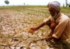 El Niño Threatens Rabi Crops After Kharif Setback, Agricultural GDP Set to Contract This Year