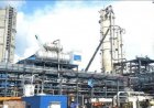 India’s Next Fertilizer Frontier: From Urea Self-Reliance to Raw-Material Self-Reliance