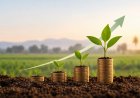 NABVENTURES Fund-II Targets 30–70 Crore Investments in Agri and Rural Businesses