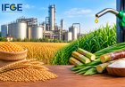 IFGE Calls for Balanced Ethanol Procurement Policy, Seeks Price Support for Grain- and Sugar-Based Ethanol