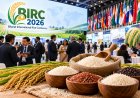 Bharat International Rice Conference Opens Tomorrow in Delhi With Buyers From 153 Countries