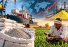 Delayed Fertiliser Subsidy Decisions Keep Global DAP Prices High, Sulphur Shortage Persists