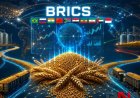BRICS Grain Exchange: A Bid to Free the Global South from Agribusiness Dependence