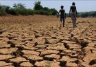 El Niño Effect: Drought Spreads Across Six States, Threatens Farms and Rural Livelihoods