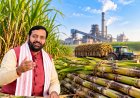 Haryana Raises Sugarcane SAP to Rs 430 per Quintal for 2026-27, Announces Rs 450 Rate for Next Year