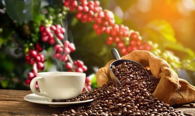 Wingsure Launches COFFEA Platform to Turn Verified Farm Data into Intelligence for Coffee Sector