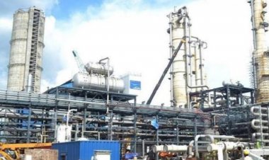 Three New Urea Plants to Come Up in Uttar Pradesh with Rs 30,000 Crore Investment