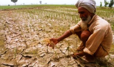 El Niño Threatens Rabi Crops After Kharif Setback, Agricultural GDP Set to Contract This Year