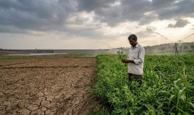 Weak Monsoon and Global Uncertainties Raise Agricultural Risks: What Else Does RBI Say?