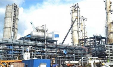 India’s Next Fertilizer Frontier: From Urea Self-Reliance to Raw-Material Self-Reliance