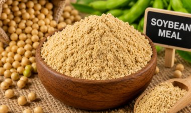 India's Oilmeal Exports Drops 65 Percent in July, Soymeal Exports Plunge 90 Percent