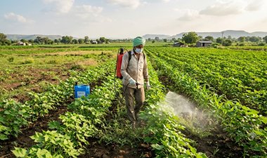 Government Extends Minimum Import Price on Glufosinate Till April 2027