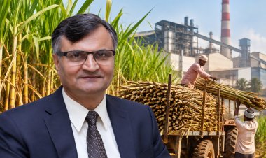 Government Forms Committee to Address Sugarcane Farmers’ Concerns, Review Sugar MSP