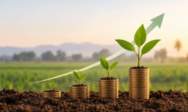 NABVENTURES Fund-II Targets 30–70 Crore Investments in Agri and Rural Businesses