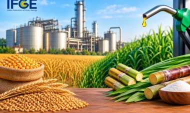 IFGE Calls for Balanced Ethanol Procurement Policy, Seeks Price Support for Grain- and Sugar-Based Ethanol