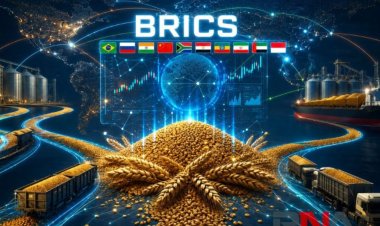 BRICS Grain Exchange: A Bid to Free the Global South from Agribusiness Dependence