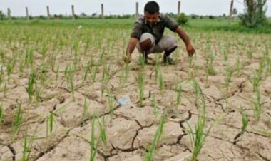 Telangana Declares Drought in 365 Mandals Across 31 Districts