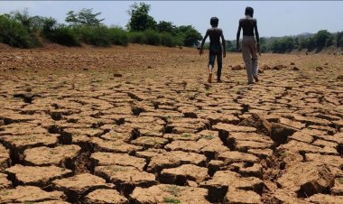 El Niño Effect: Drought Spreads Across Six States, Threatens Farms and Rural Livelihoods