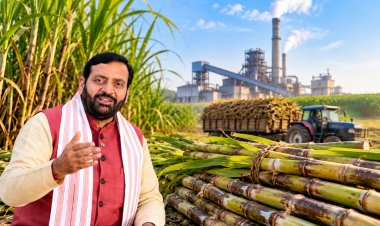 Haryana Raises Sugarcane SAP to Rs 430 per Quintal for 2026-27, Announces Rs 450 Rate for Next Year