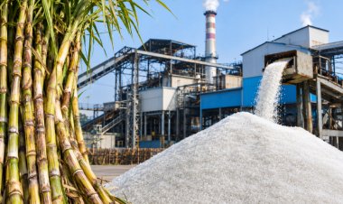 Centre Allows Sugar Mills to Sell Additional Sugar Produced Up to November 15