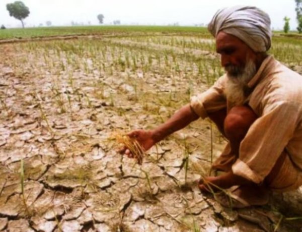 El Niño Threatens Rabi Crops After Kharif Setback, Agricultural GDP Set to Contract This Year