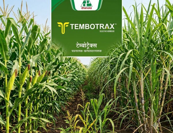 Dhanuka Agritech Launches Tembotrax Herbicide for Maize and Sugarcane