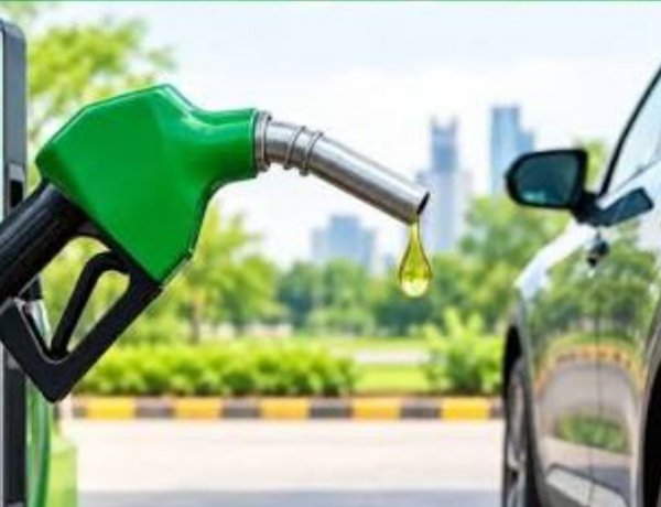Supreme Court Questions E100 Vehicle Approval: Where Will the Supply of 100% Ethanol Come From?