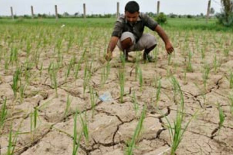 Telangana declares drought in 365 mandals and seeks ₹20,000 crore