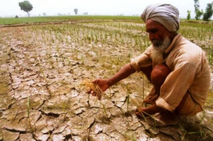 El Niño Threatens Rabi Crops After Kharif Setback, Agricultural GDP Set to Contract This Year
