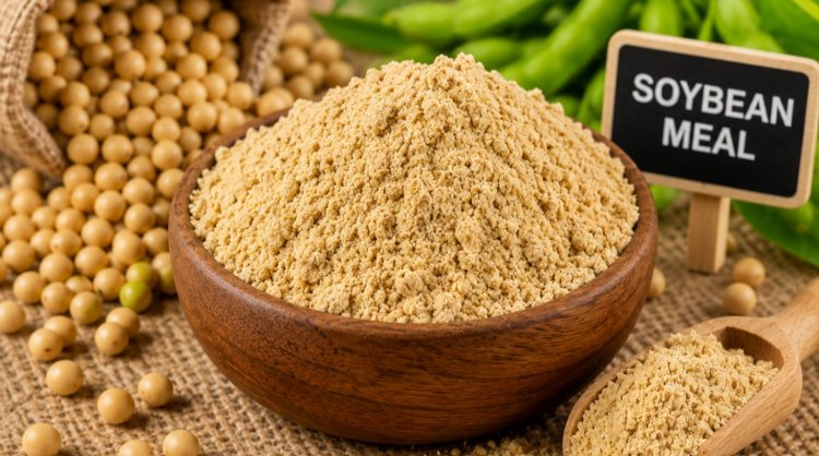 India's Oilmeal Exports Drops 65 Percent in July, Soymeal Exports Plunge 90 Percent
