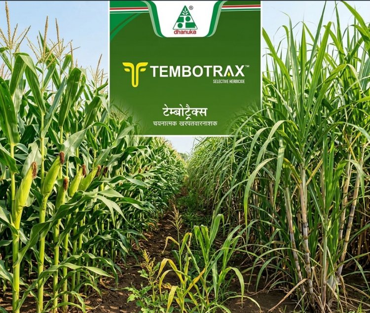 Dhanuka Agritech Launches Tembotrax Herbicide for Maize and Sugarcane