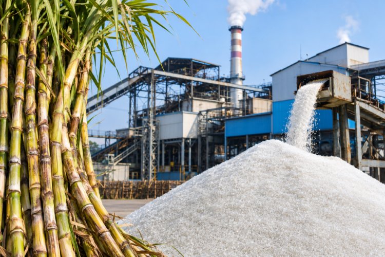 Centre Allows Sugar Mills to Sell Additional Sugar Produced Up to November 15